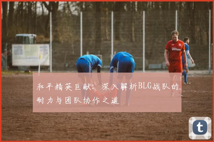 和平精英巨献：深入解析BLG战队的耐力与团队协作之道